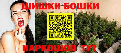 молекула духа Пенза