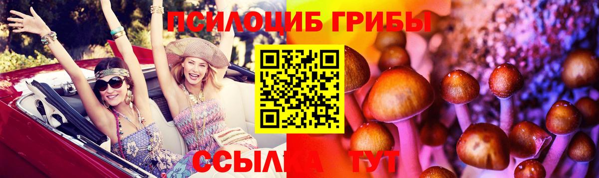 Псилоцибиновые грибы прущие грибы  Вход с VPN  Альметьевск  Псилоцибиновые грибы Magic Shrooms 