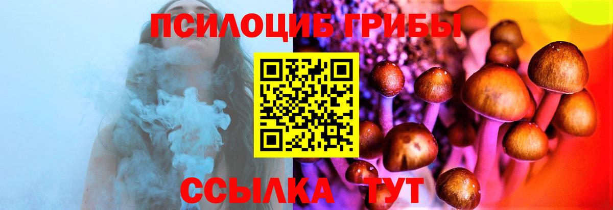 Псилоцибиновые грибы Cubensis Альметьевск